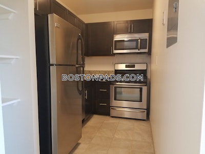 Brookline Apartment for rent 1 Bedroom 1 Bath  Boston University - $3,000 No Fee