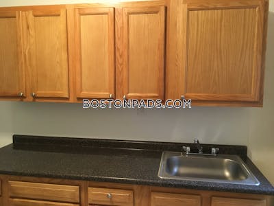 Allston/brighton Border Apartment for rent 1 Bedroom 1 Bath Boston - $2,225 No Fee