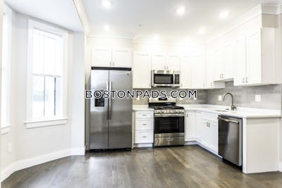Allston 3 Beds 2.5 Baths Boston - $5,350 No Fee