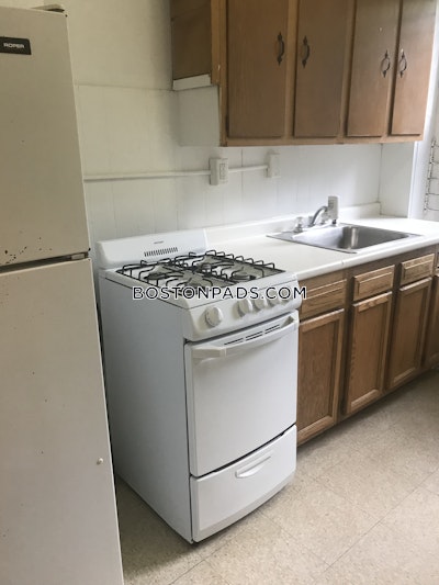 Brighton Apartment for rent 1 Bedroom 1 Bath Boston - $2,495 No Fee
