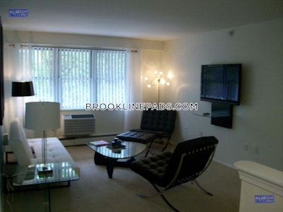 Brookline Apartment for rent 1 Bedroom 1 Bath  Boston University - $3,000 No Fee
