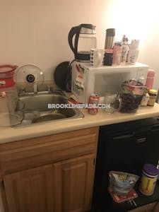Brookline Apartment for rent Studio 1 Bath Boston University - $2,045 No Fee