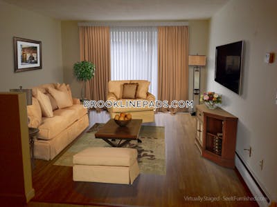 Brookline Apartment for rent 1 Bedroom 1 Bath Boston University - $2,800
