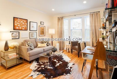 Cambridge Apartment for rent 2 Bedrooms 1 Bath Harvard Square - $3,750 No Fee