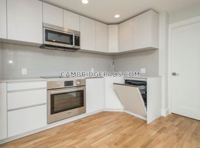 Cambridge Apartment for rent 1 Bedroom 1 Bath  Harvard Square - $3,200