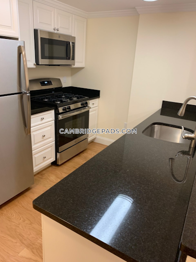 Cambridge Apartment for rent 1 Bedroom 1 Bath  Harvard Square - $3,095