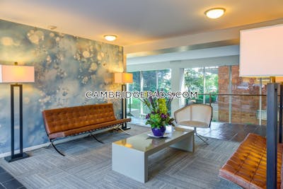 Cambridge Apartment for rent 2 Bedrooms 1 Bath Kendall Square - $3,920 No Fee