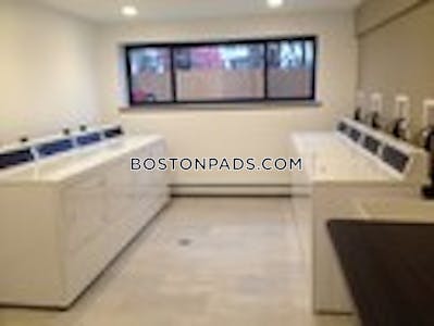 Cambridge Apartment for rent 1 Bedroom 1 Bath  Mt. Auburn/brattle/ Fresh Pond - $2,500 No Fee