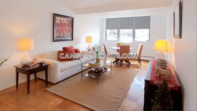 Cambridge Apartment for rent 1 Bedroom 1 Bath  Porter Square - $2,972 No Fee
