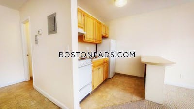 Cambridge Apartment for rent 1 Bedroom 1 Bath  Mt. Auburn/brattle/ Fresh Pond - $2,600 No Fee