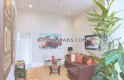 Cambridge Apartment for rent 8 Bedrooms 3.5 Baths Harvard Square - $12,000