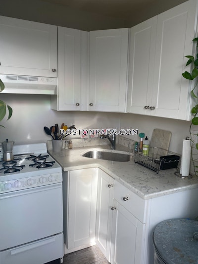 Allston Apartment for rent 1 Bedroom 1 Bath Boston - $2,420