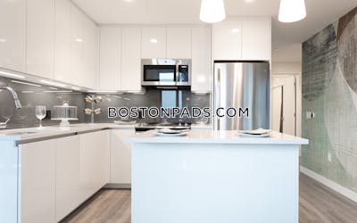 West End Apartment for rent 2 Bedrooms 2 Baths Boston - $10,934
