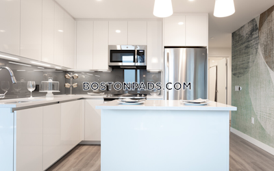 West End Apartment for rent 2 Bedrooms 2 Baths Boston - $10,479