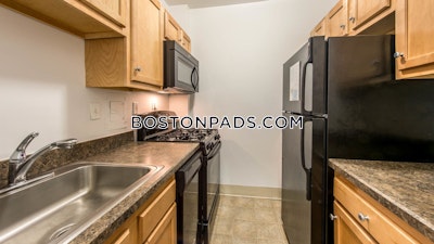 Cambridge Apartment for rent Studio 1 Bath  Porter Square - $2,445 No Fee