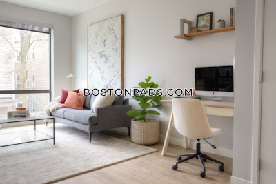 Dorchester 1 bedroom  Luxury in BOSTON Boston - $3,185