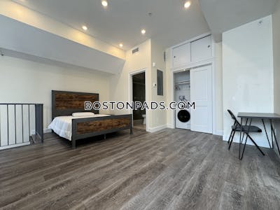 Brookline Apartment for rent 1 Bedroom 1 Bath Boston University - $3,500
