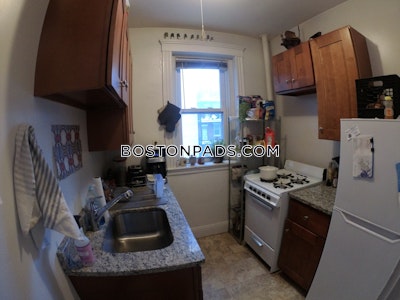 Allston/brighton Border Apartment for rent 1 Bedroom 1 Bath Boston - $2,400 No Fee