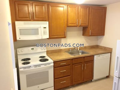 Allston Apartment for rent 1 Bedroom 1 Bath Boston - $3,000