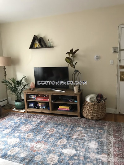 Brighton Apartment for rent 2 Bedrooms 1 Bath Boston - $2,900