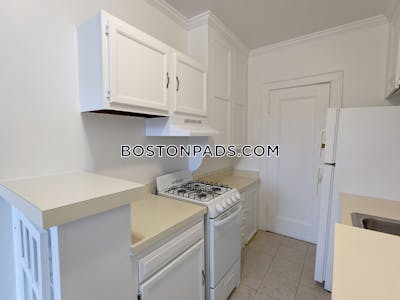 Brighton Apartment for rent 1 Bedroom 1 Bath Boston - $2,795 No Fee
