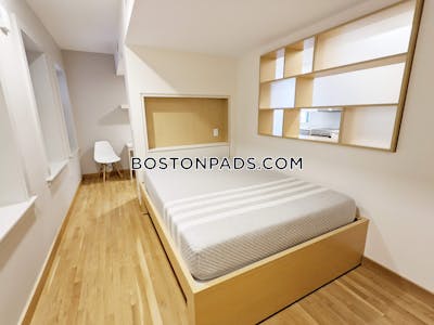 Cambridge Studio 1 Bath  Harvard Square - $3,900