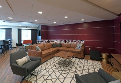 Fenway/kenmore Apartment for rent 1 Bedroom 1 Bath Boston - $3,806