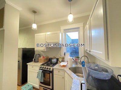Allston Apartment for rent 1 Bedroom 1 Bath Boston - $3,100