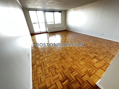 West End Apartment for rent 1 Bedroom 1 Bath Boston - $4,025