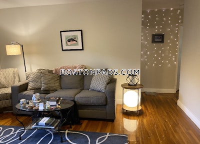 Brighton Apartment for rent 2 Bedrooms 1 Bath Boston - $2,950