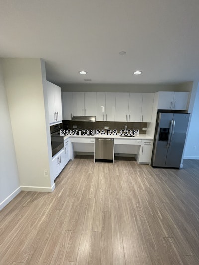 Allston Apartment for rent 1 Bedroom 1 Bath Boston - $3,908
