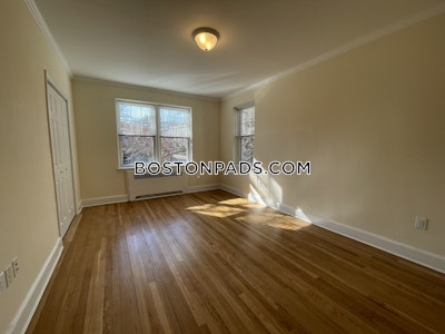 Brighton 1 Bed 1 Bath Boston - $3,025 No Fee
