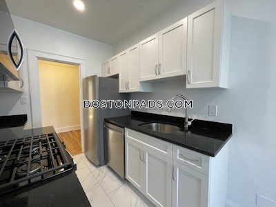 Brighton Apartment for rent 1 Bedroom 1 Bath Boston - $2,885 No Fee