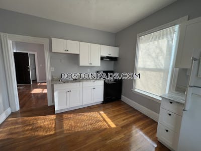 Jamaica Plain Newly renovated 3 bed, 1 bath available now on Walden St in Jamaica Plain Boston - $3,400