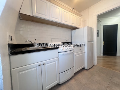 Northeastern/symphony Apartment for rent 2 Bedrooms 1 Bath Boston - $5,150 No Fee