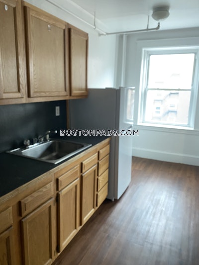 Brighton Apartment for rent 1 Bedroom 1 Bath Boston - $2,395 No Fee