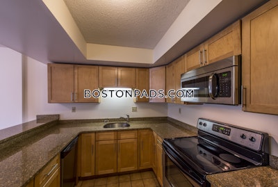 Cambridge Apartment for rent 2 Bedrooms 2 Baths  Central Square/cambridgeport - $4,000 No Fee