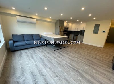 Brookline Apartment for rent Studio 1 Bath  Boston University - $2,900 No Fee