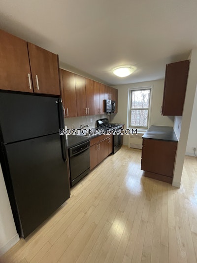 Brighton Apartment for rent 2 Bedrooms 1 Bath Boston - $3,421 No Fee