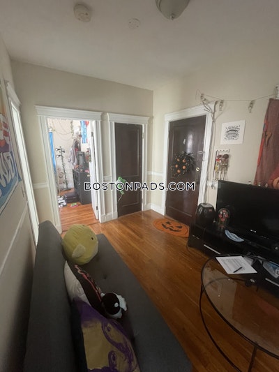 Allston Apartment for rent 1 Bedroom 1 Bath Boston - $3,050
