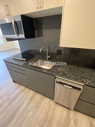 Brookline Apartment for rent Studio 1 Bath  Boston University - $2,500 No Fee