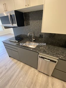 Brookline Apartment for rent Studio 1 Bath Boston University - $2,500 No Fee