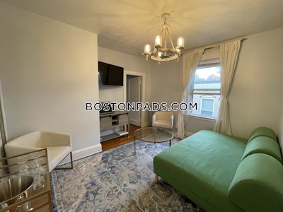 Brighton Apartment for rent 1 Bedroom 1 Bath Boston - $2,600