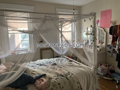 Allston Apartment for rent 1 Bedroom 1 Bath Boston - $2,950