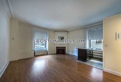 Chinatown Apartment for rent 1 Bedroom 1 Bath Boston - $3,100 No Fee