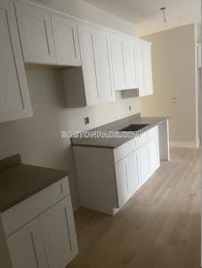 Allston 2 Beds 2 Baths Boston - $4,450 No Fee