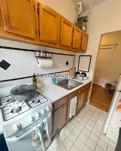 Brighton Apartment for rent 1 Bedroom 1 Bath Boston - $2,350