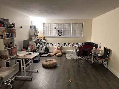 Allston/brighton Border Apartment for rent 1 Bedroom 1 Bath Boston - $2,300 No Fee
