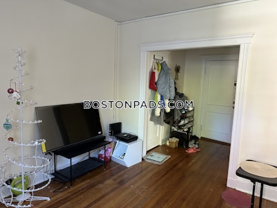 Brighton Apartment for rent 1 Bedroom 1 Bath Boston - $2,400