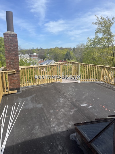 Brighton Apartment for rent 1 Bedroom 1 Bath Boston - $2,200